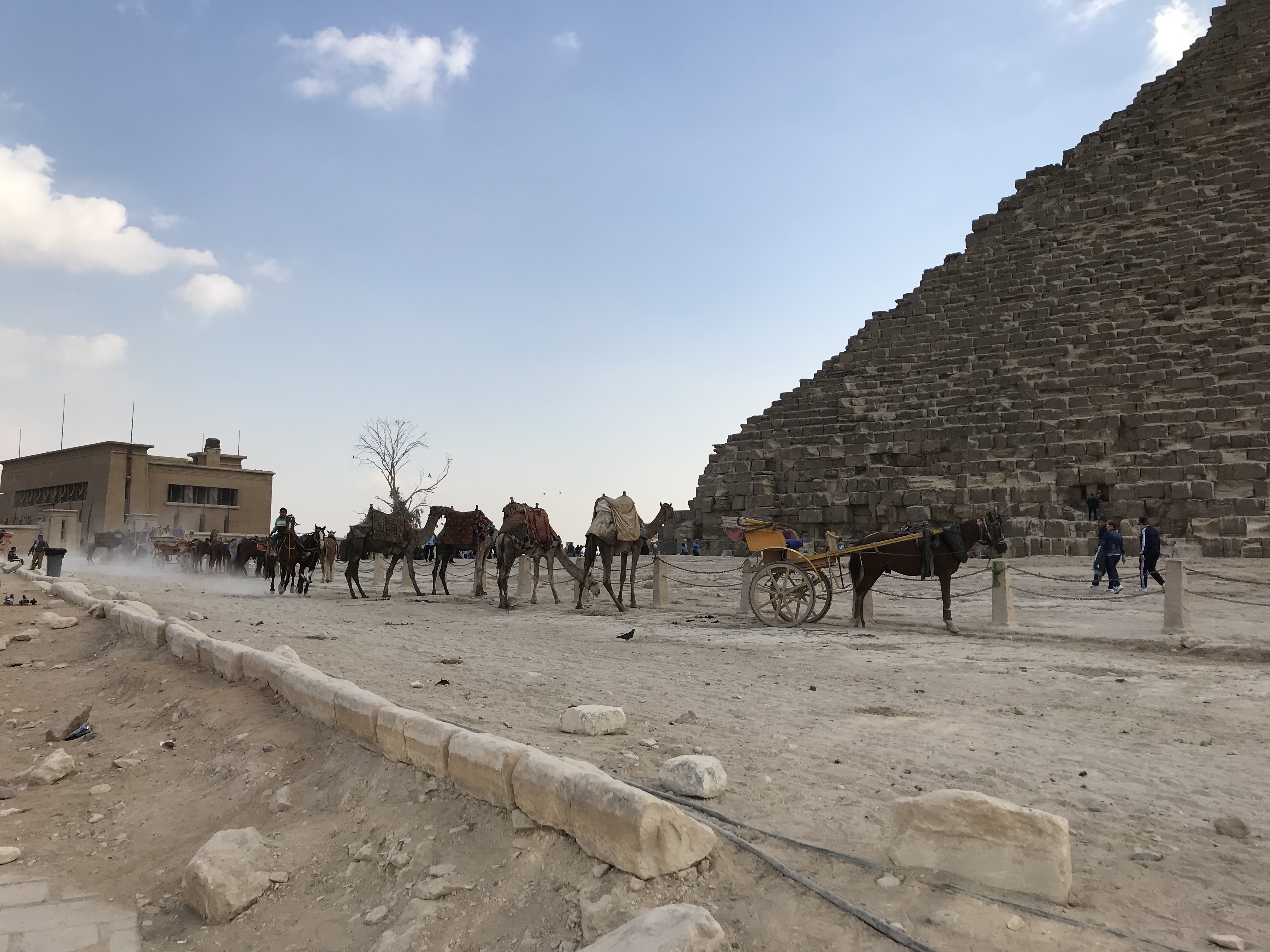 ./2018/16 - Egypt/03 - Pyramids/IMG_0820.jpg